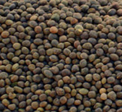 Fig